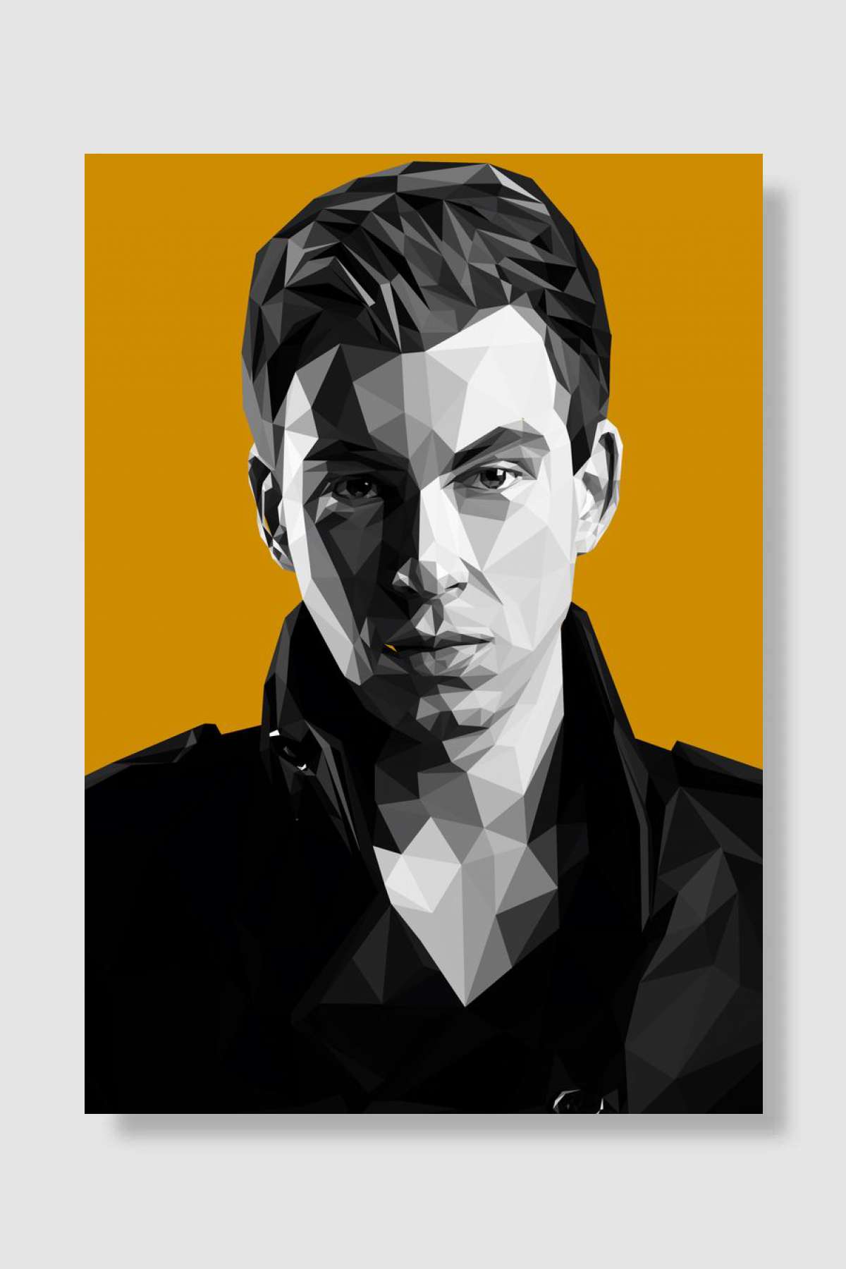 hardwell Müzik Poster Çerçevesiz Yüksek Kalite Müzik Afiş Duvar Poster