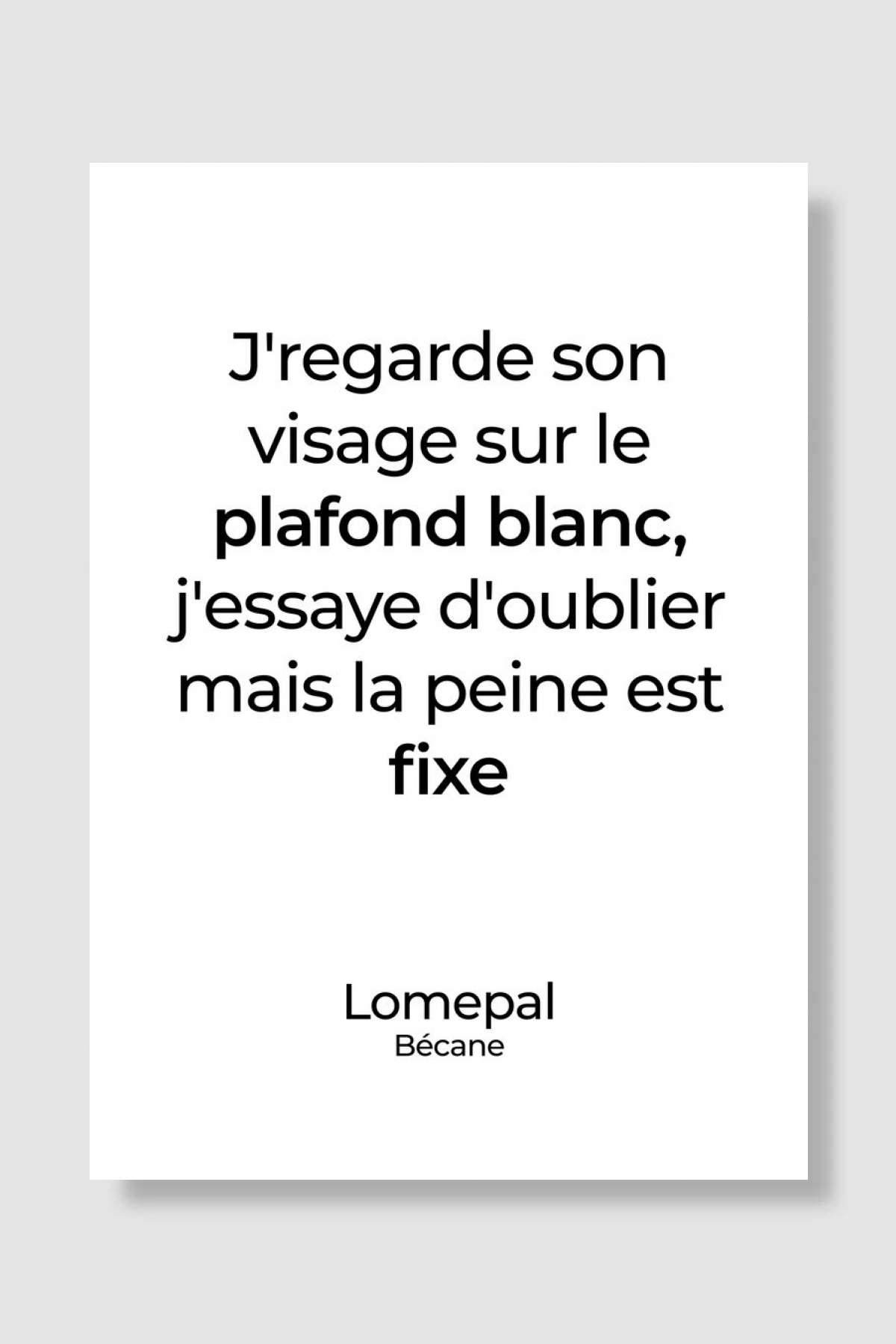 Lomepal Poster Müzik Poster Çerçevesiz Yüksek Kalite Müzik Afiş Duvar Poster