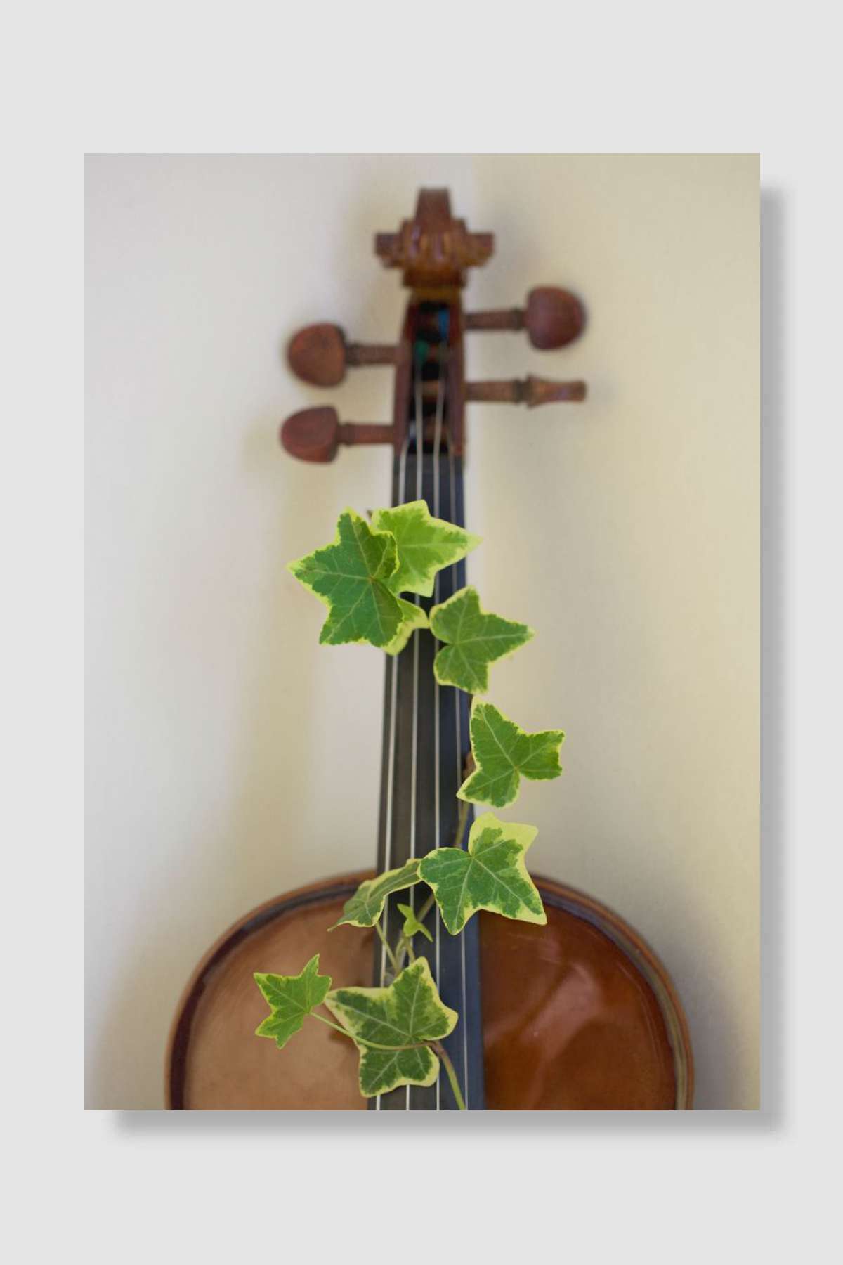 Natural Music Müzik Poster Çerçevesiz Yüksek Kalite Müzik Afiş Duvar Poster