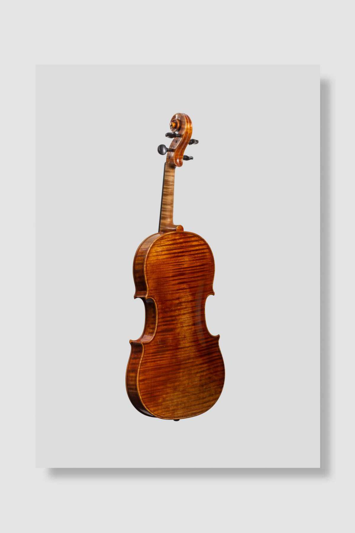 The Viola Müzik Poster Çerçevesiz Yüksek Kalite Müzik Afiş Duvar Poster