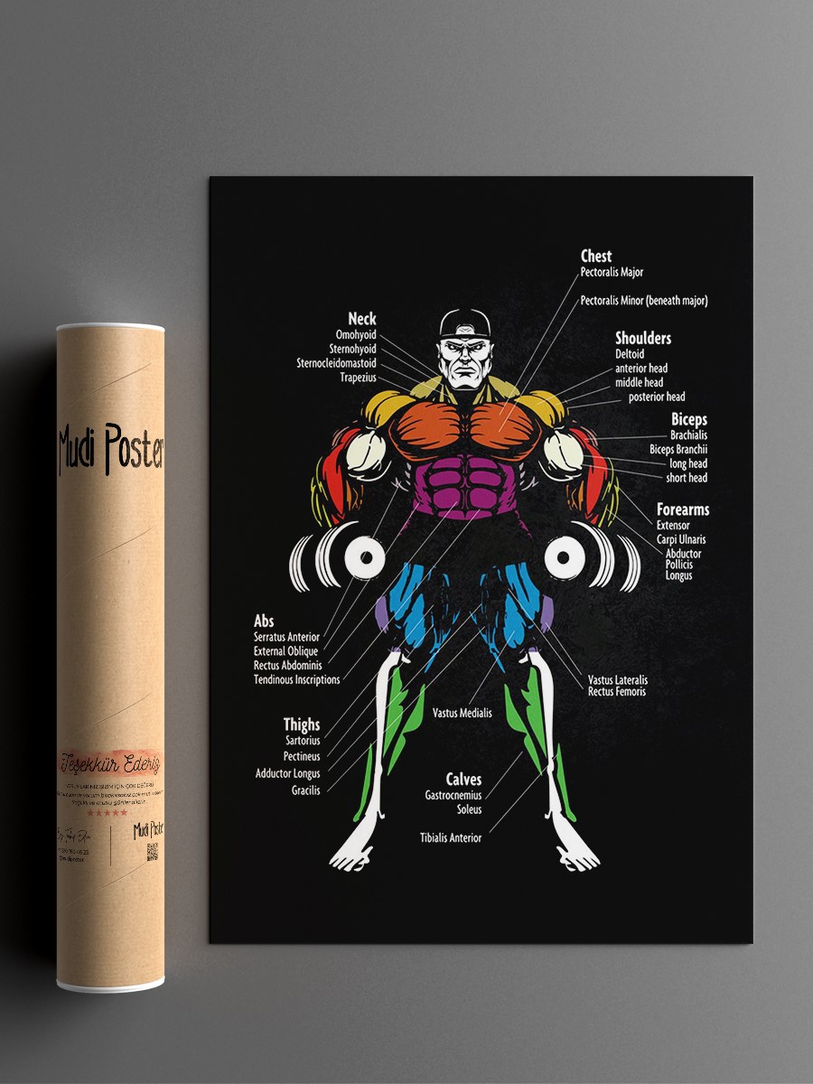 Muscle Chart Anatomy Anime Poster Çerçevesiz Yüksek Kalite Anime Duvar Poster