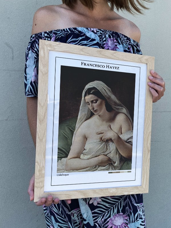Francesco Hayez Odalisque Poster