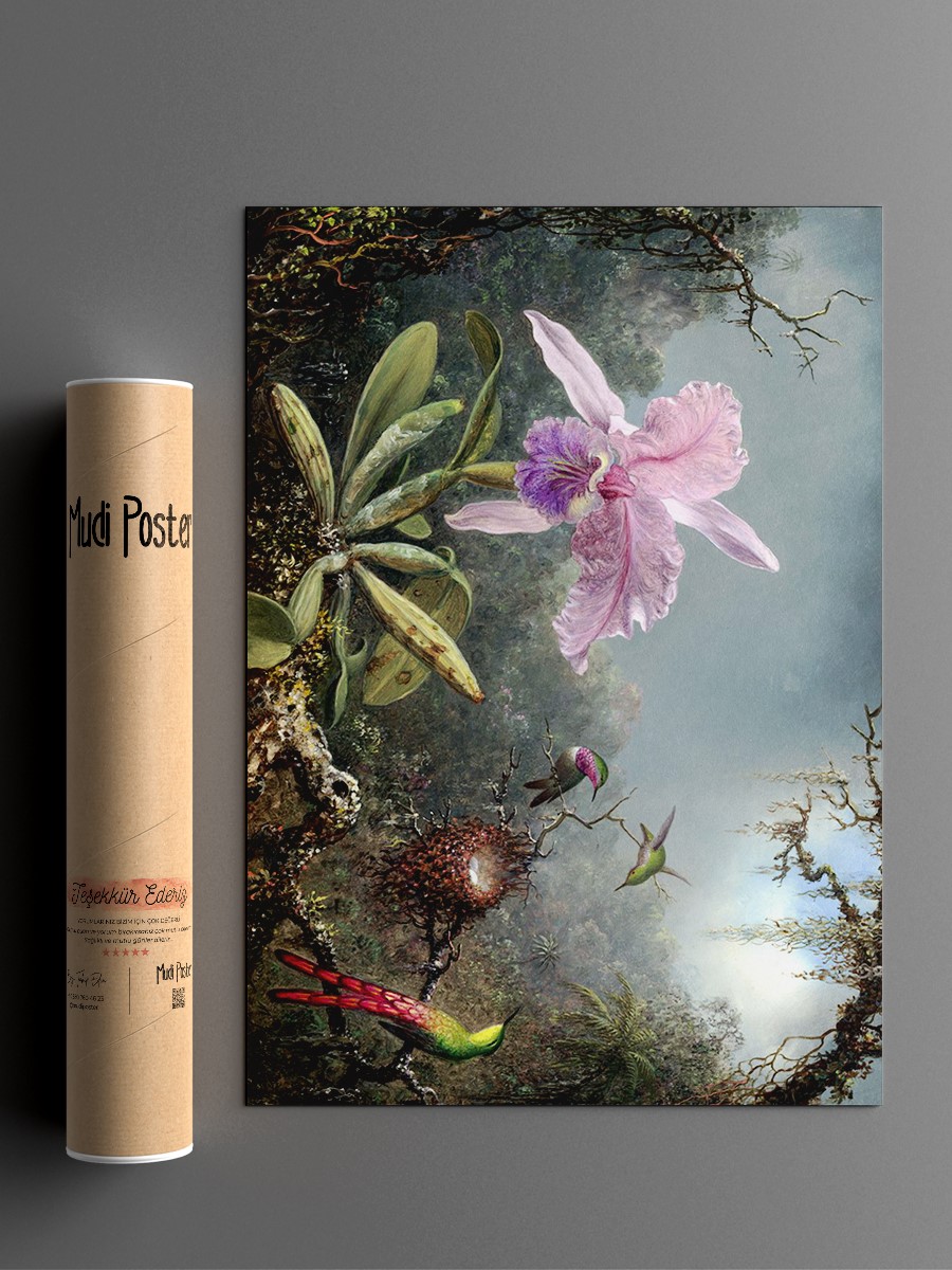 Orchid and Hummingbirds Tablo Sanatsal Ünlü Ressam Poster Çerçevesiz Yüksek Kalite Poster