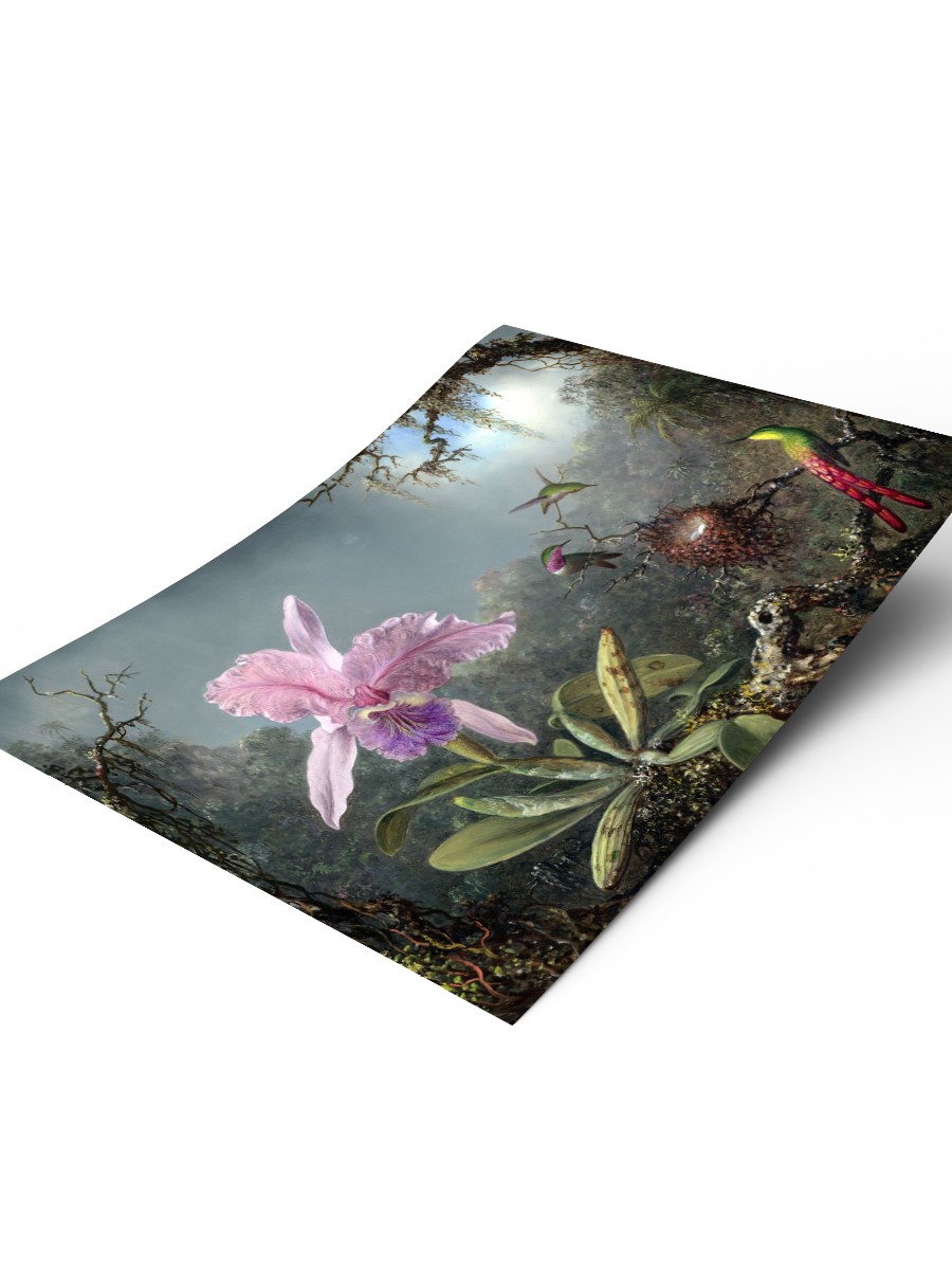 Orchid and Hummingbirds Tablo Sanatsal Ünlü Ressam Poster Çerçevesiz Yüksek Kalite Poster