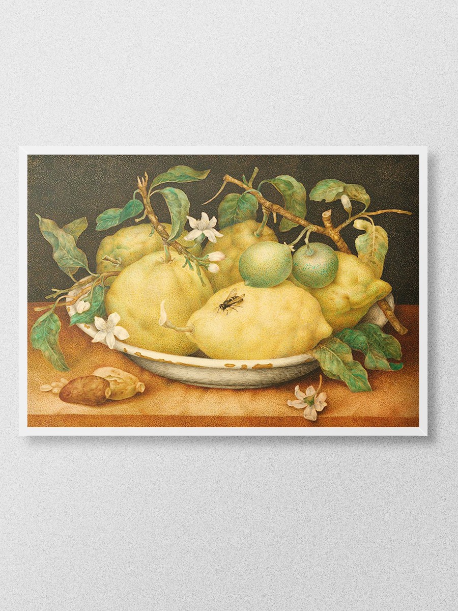 Still Life with Citrons Tablo Sanatsal Ünlü Ressam Poster Çerçevesiz Yüksek Kalite Poster