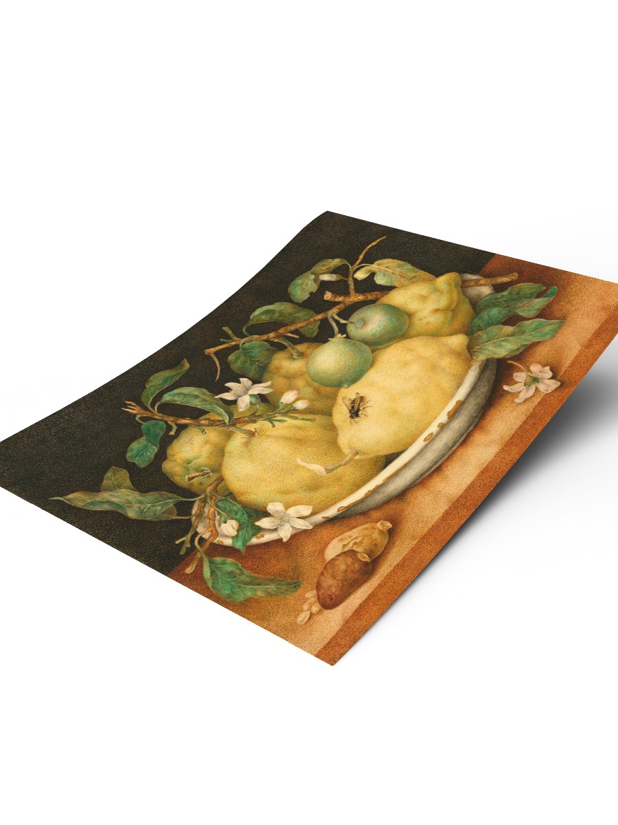 Still Life with Citrons Tablo Sanatsal Ünlü Ressam Poster Çerçevesiz Yüksek Kalite Poster