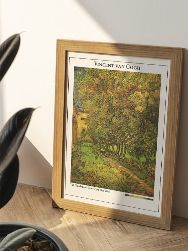 Vincent van Gogh The Garden of Saint-Paul Hospital Poster