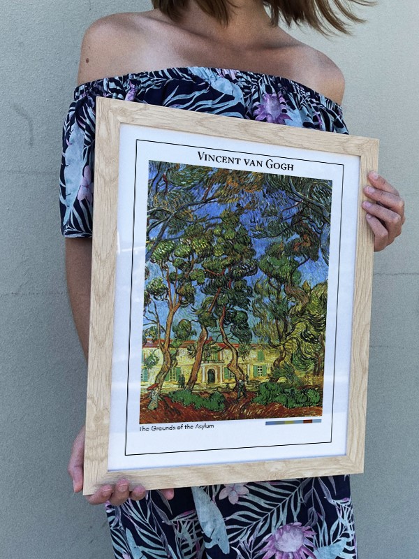 Vincent van Gogh The Grounds of the Asylum Poster