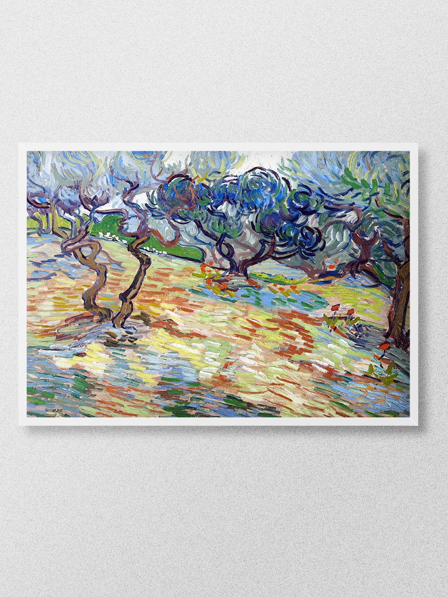 Van Gogh Olive Trees Tablo Sanatsal Ünlü Ressam Poster Çerçevesiz Yüksek Kalite Poster