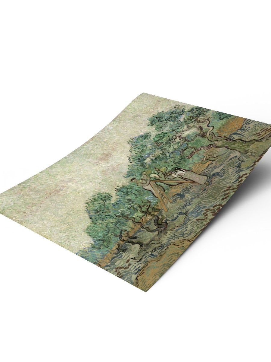 Van Gogh The Olive Orchard Tablo Sanatsal Ünlü Ressam Poster Çerçevesiz Yüksek Kalite Poster