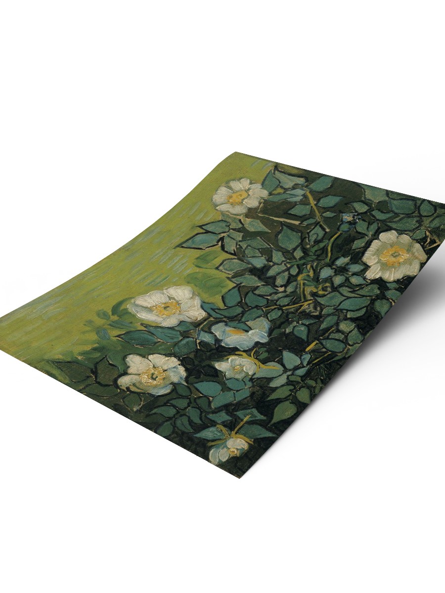 Van Gogh Wild Roses Tablo Sanatsal Ünlü Ressam Poster Çerçevesiz Yüksek Kalite Poster