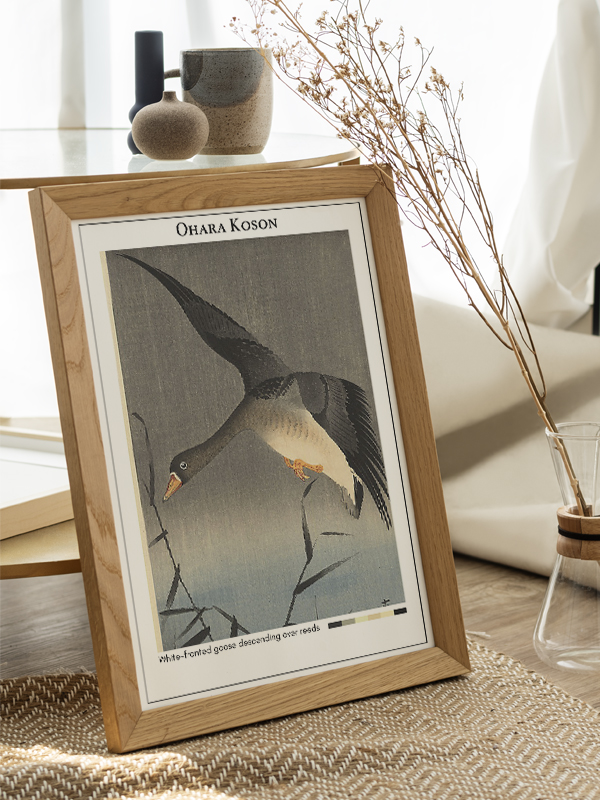 Ohara Koson White-fronted goose descending over reeds Poster